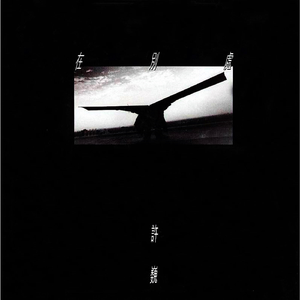 越南少妇拳交瓶巨大
